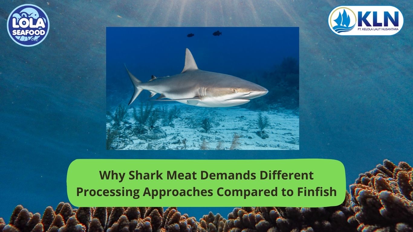 Why Shark Meat Demands Different Processing Approaches Compared to Finfish